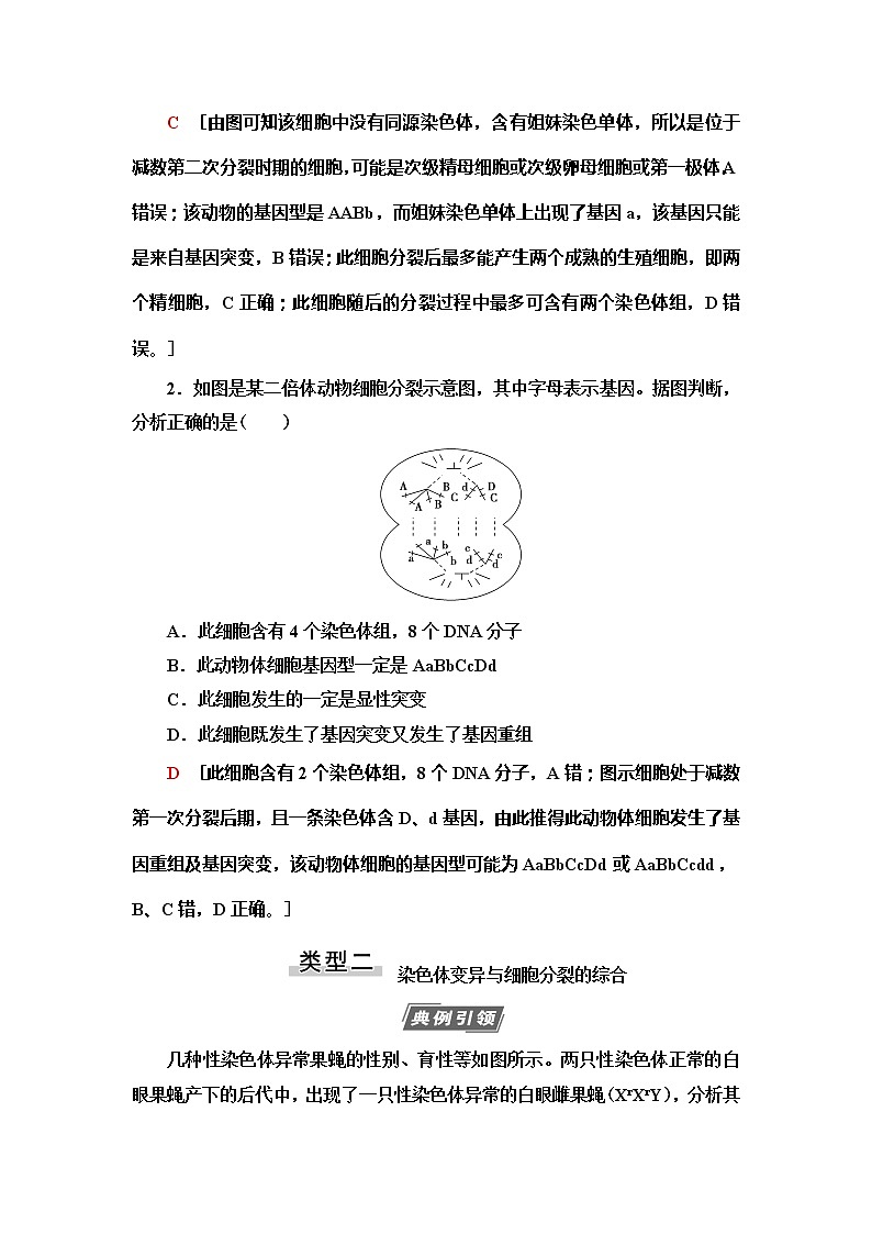 2021版高考生物（苏教版）一轮复习学案：必修2第7单元素养加强课7　变异与细胞分裂和遗传定律的综合第3页