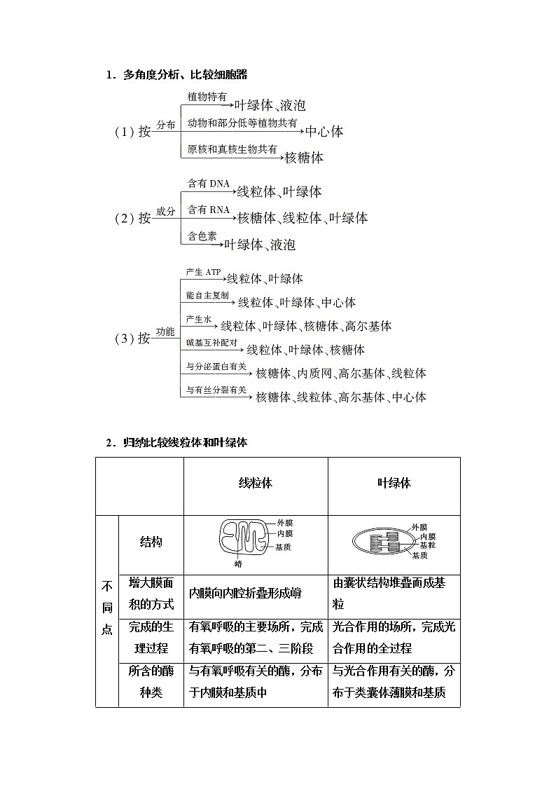 2021版高考生物（苏教版）一轮复习学案：必修1第2单元第3讲　细胞质、细胞器和细胞的生物膜系统第3页
