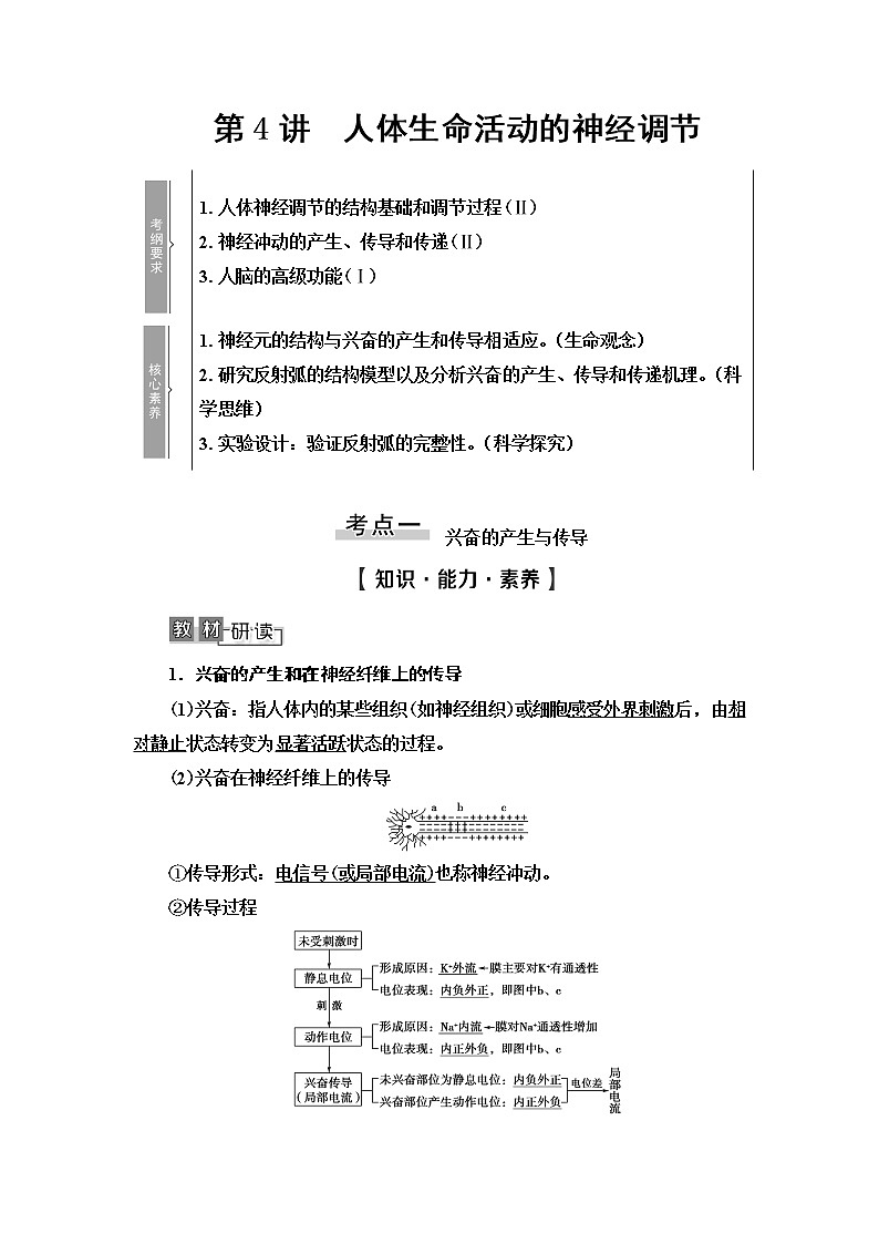 2021版高考生物（苏教版）一轮复习学案：必修3第8单元第4讲　人体生命活动的神经调节第1页