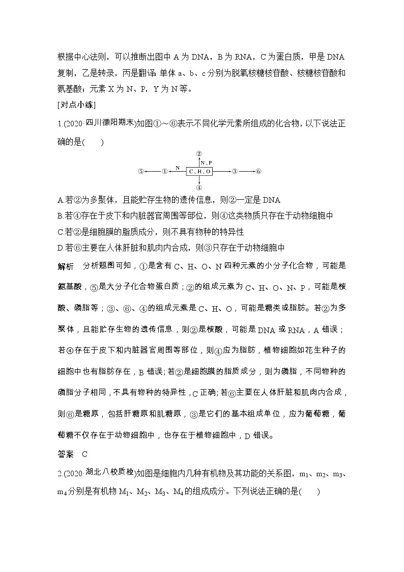 2021版高考生物突破大一轮新高考人教版讲义：第一单元微专题2细胞中有机物的推断02