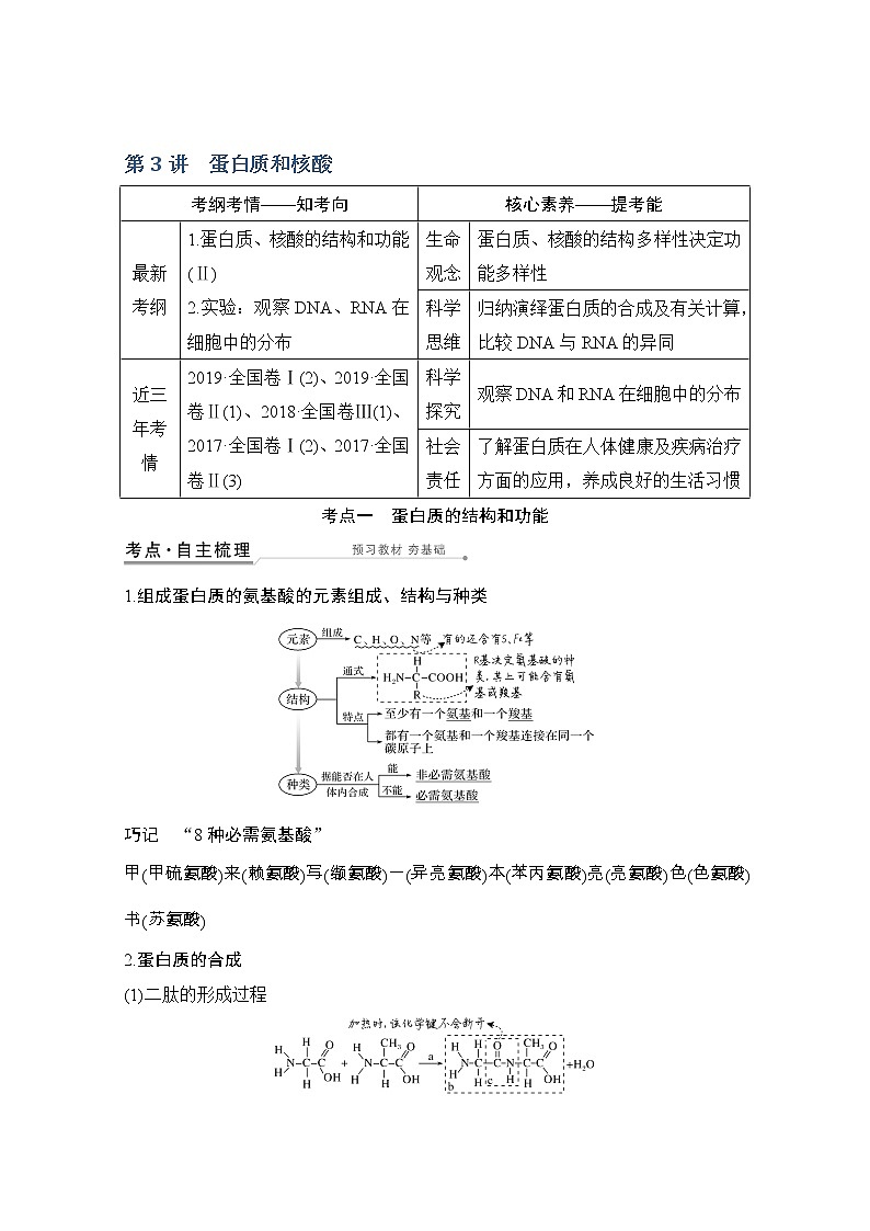 2021版高考生物突破大一轮新高考人教版讲义：第一单元第3讲蛋白质和核酸第1页