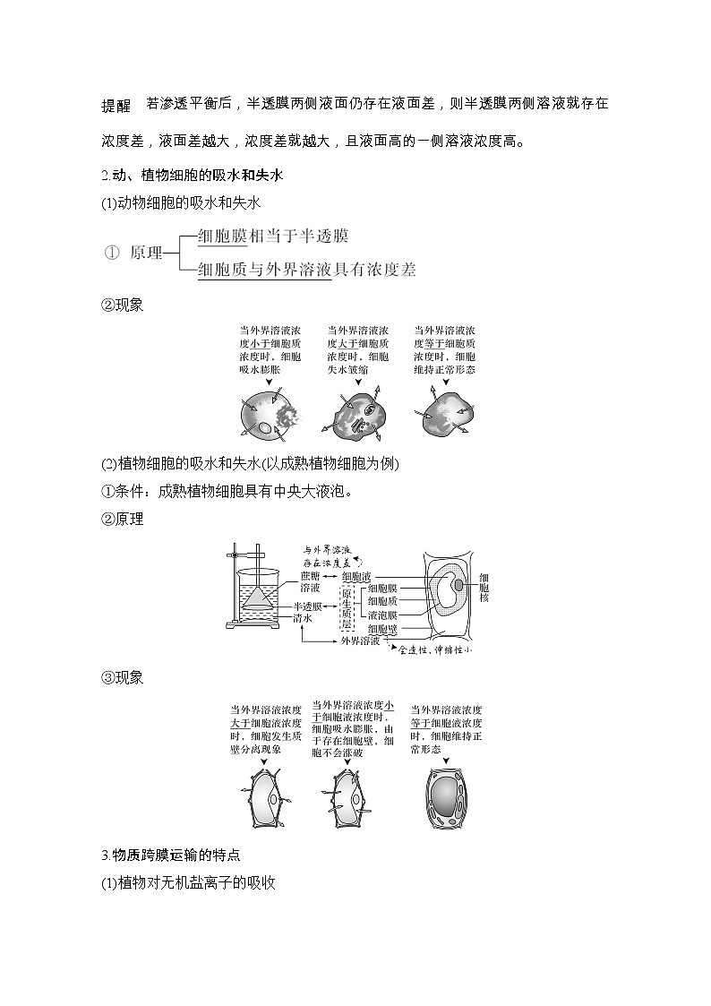 2021版高考生物突破大一轮新高考苏教版讲义：第二单元第6讲细胞的物质输入和输出（含微专题3）第2页