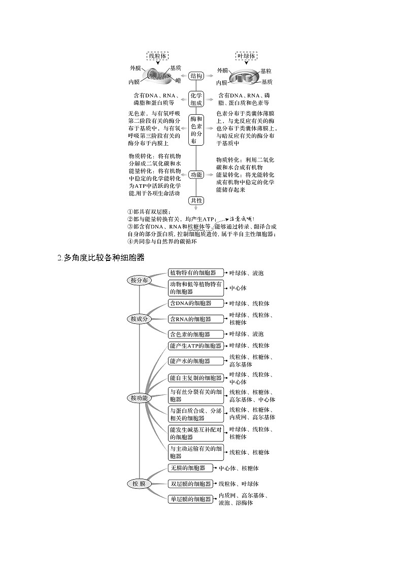 2021版高考生物突破大一轮新高考苏教版讲义：第二单元第5讲细胞器与生物膜系统第3页