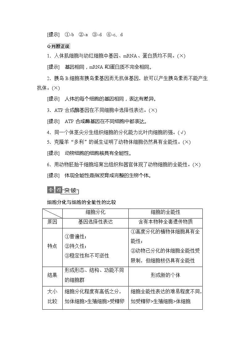 2021版新高考生物培优大一轮复习讲义：必修1第4单元第3讲细胞的分化、衰老、凋亡和癌变03