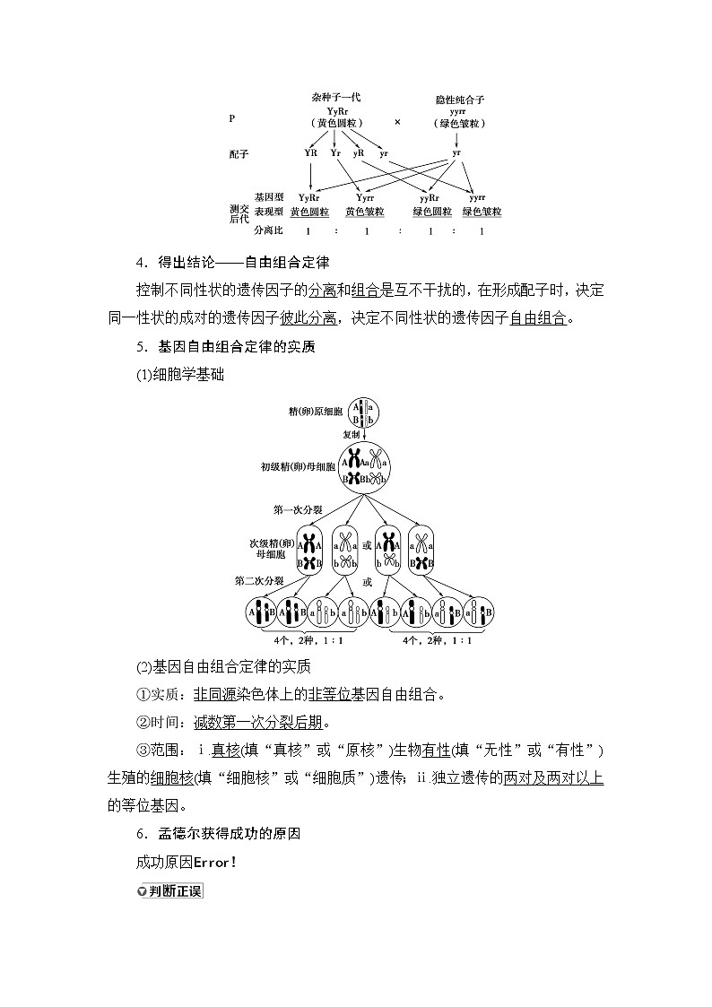 2021版新高考生物培优大一轮复习讲义：必修2第5单元第2讲孟德尔的豌豆杂交实验(二)03