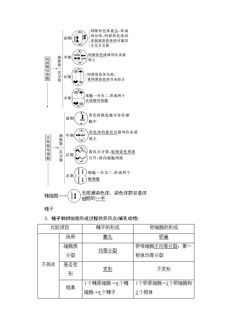 2021版新高考生物培优大一轮复习讲义：必修1第4单元第2讲减数分裂和受精作用02