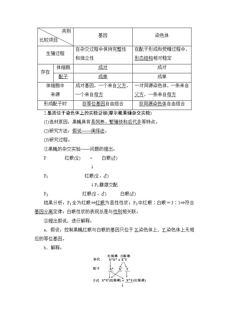 2021版新高考生物培优大一轮复习讲义：必修2第5单元第3讲基因在染色体上和伴性遗传02