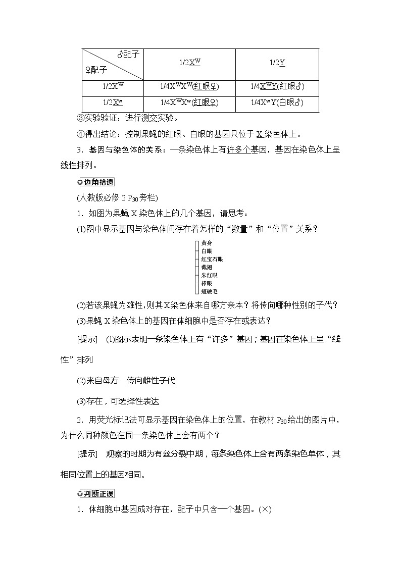 2021版新高考生物培优大一轮复习讲义：必修2第5单元第3讲基因在染色体上和伴性遗传03