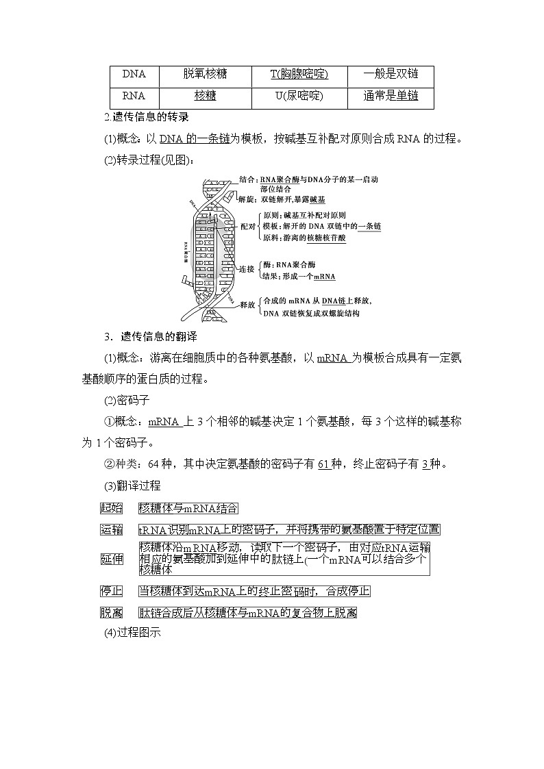 2021版新高考生物培优大一轮复习讲义：必修2第6单元第3讲基因的表达02