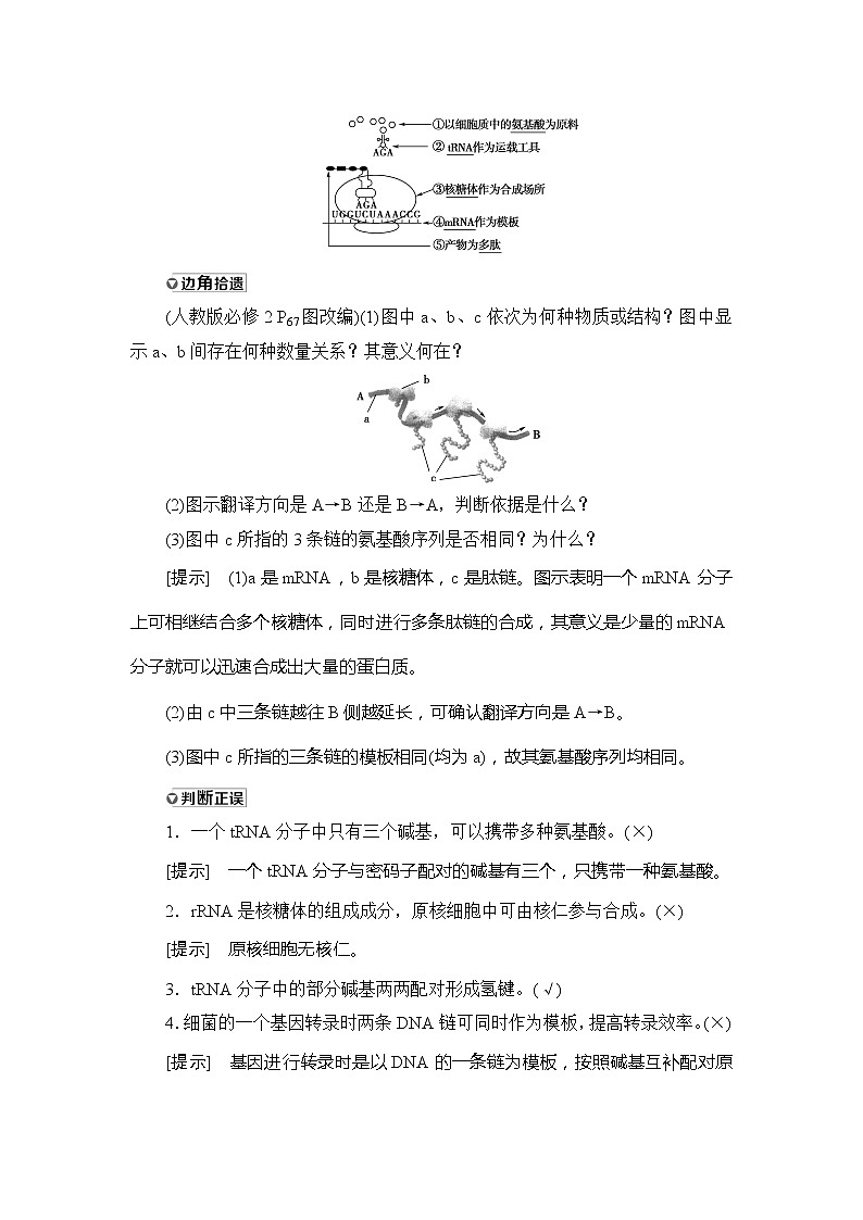 2021版新高考生物培优大一轮复习讲义：必修2第6单元第3讲基因的表达03