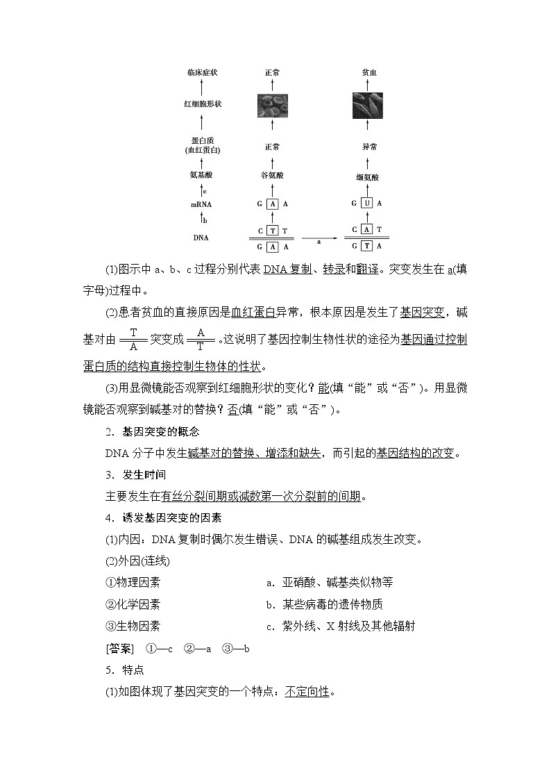 2021版新高考生物培优大一轮复习讲义：必修2第7单元第1讲基因突变和基因重组02