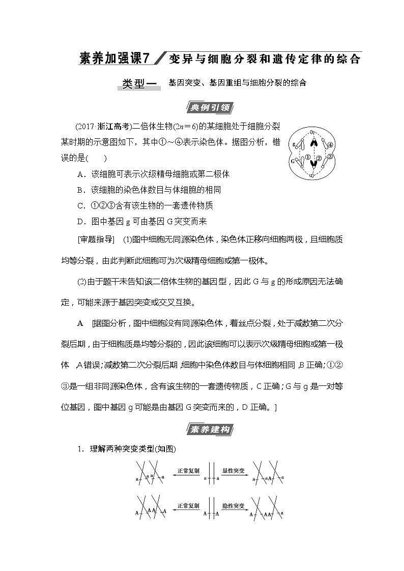 2021版新高考生物培优大一轮复习讲义：必修2第7单元素养加强课7变异与细胞分裂和遗传定律的综合01