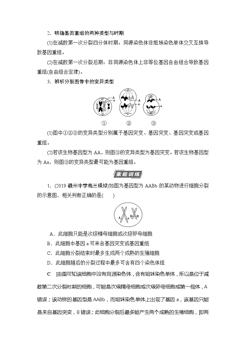 2021版新高考生物培优大一轮复习讲义：必修2第7单元素养加强课7变异与细胞分裂和遗传定律的综合02