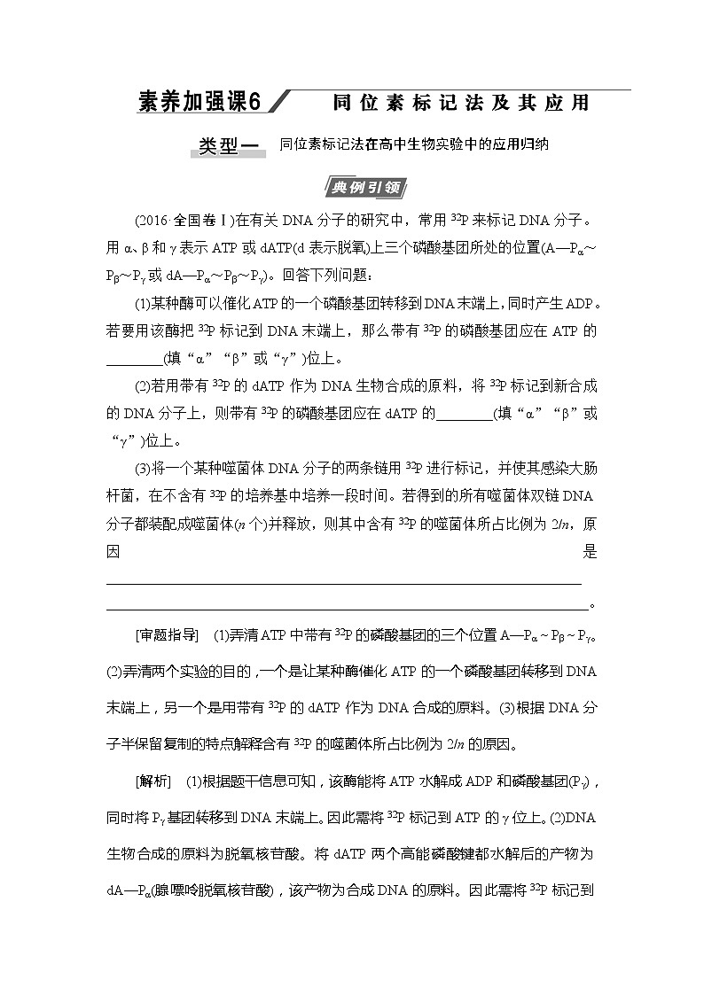 2021版新高考生物培优大一轮复习讲义：必修2第6单元素养加强课6同位素标记法及其应用01