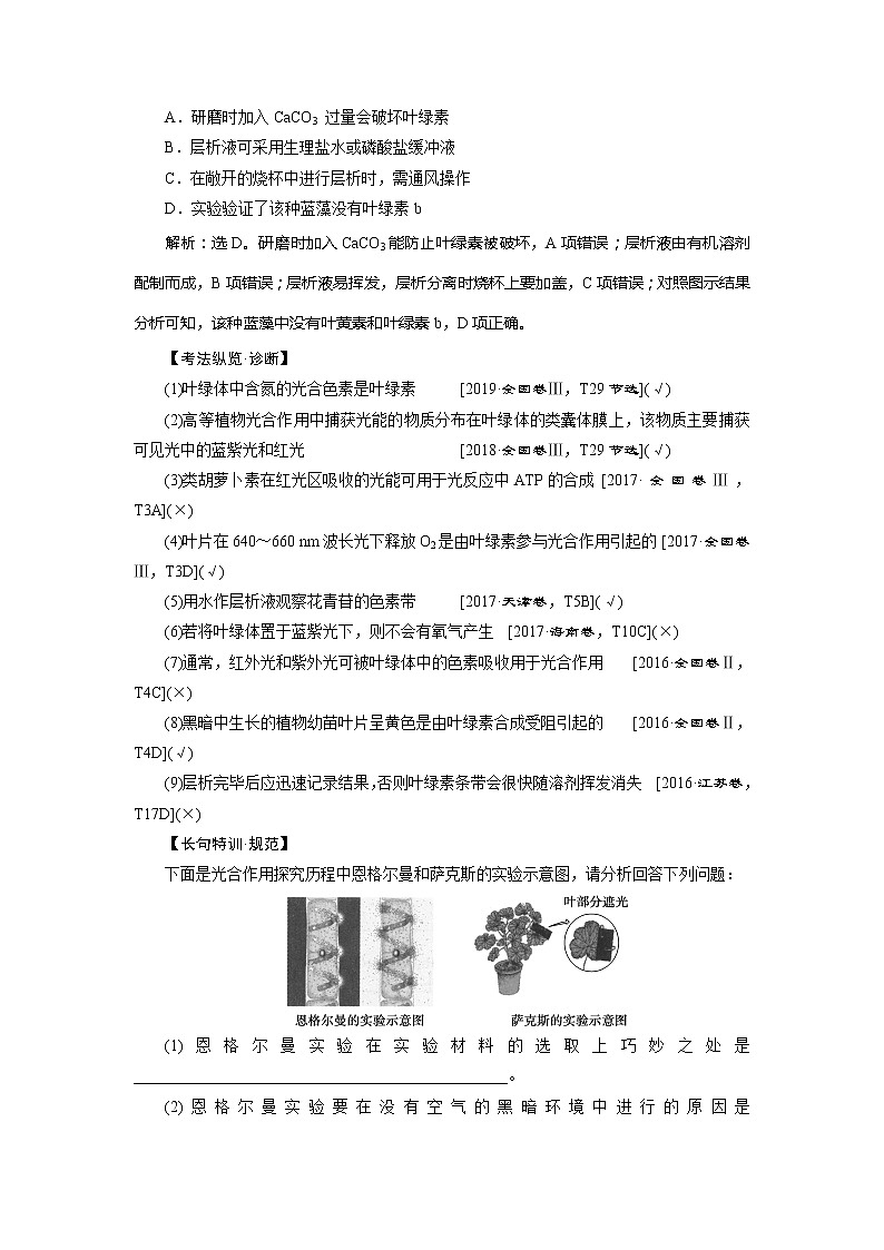 2021版高考生物（人教版）一轮复习学案：第三单元　第10讲　能量之源——光与光合作用第3页