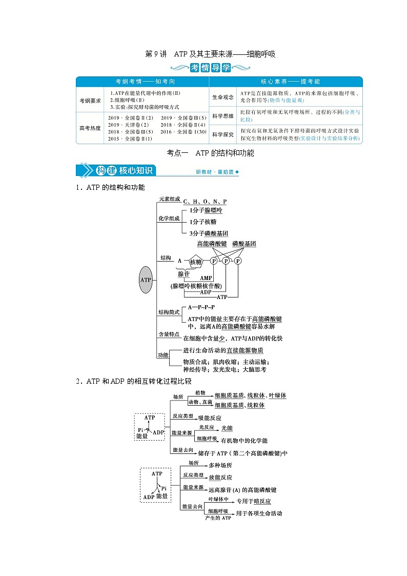 2021版高考生物（人教版）一轮复习学案：第三单元　第9讲　ATP及其主要来源——细胞呼吸01