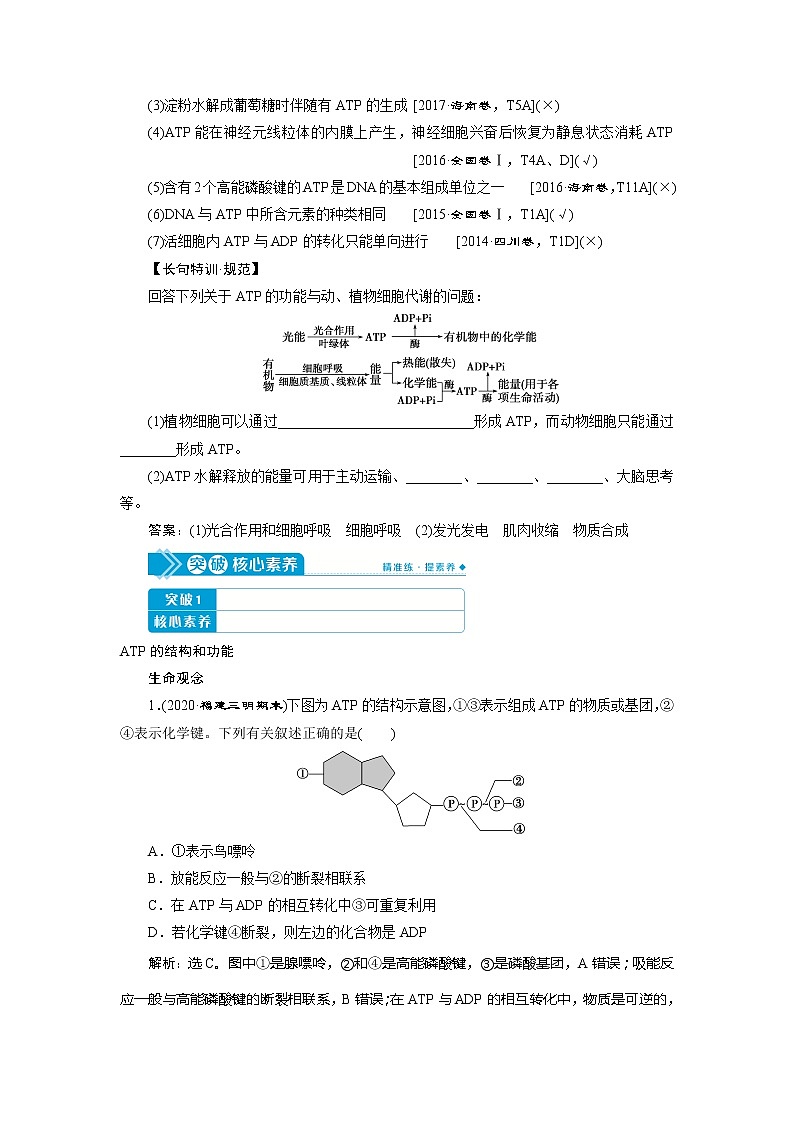 2021版高考生物（人教版）一轮复习学案：第三单元　第9讲　ATP及其主要来源——细胞呼吸03