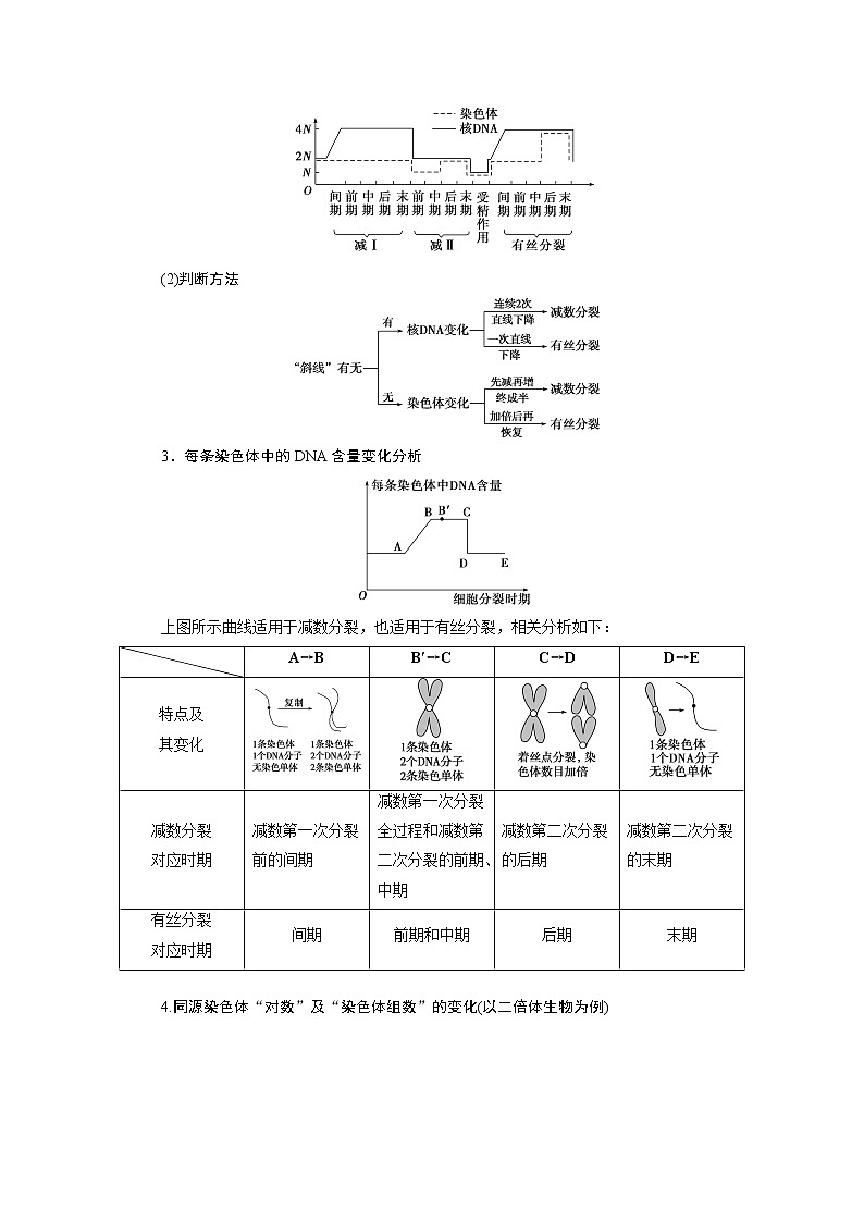 2021版高考生物（人教版）一轮复习学案：第四单元　加强提升课（3）　减数分裂与有丝分裂、可遗传变异、DNA复制的关系第2页