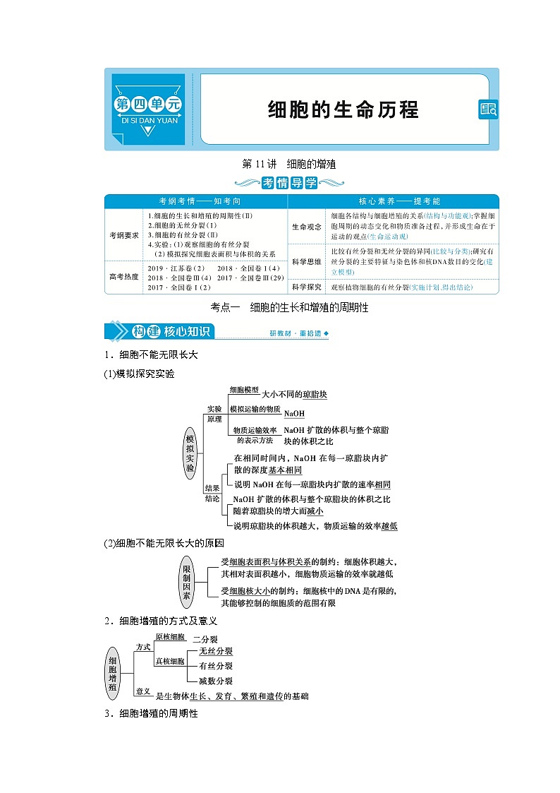 2021版高考生物（人教版）一轮复习学案：第四单元　第11讲　细胞的增殖第1页