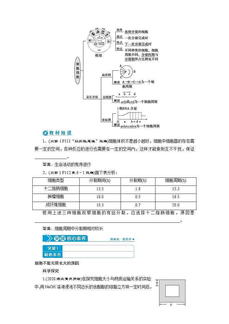 2021版高考生物（人教版）一轮复习学案：第四单元　第11讲　细胞的增殖第2页