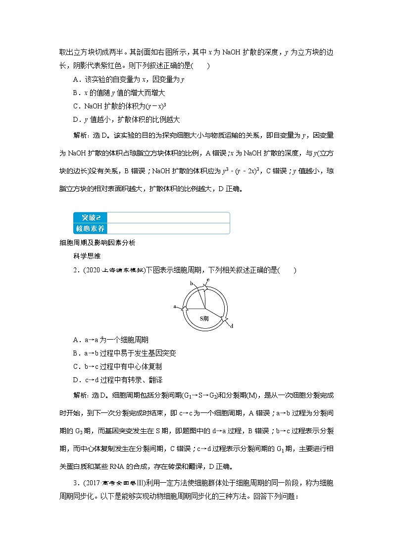 2021版高考生物（人教版）一轮复习学案：第四单元　第11讲　细胞的增殖第3页