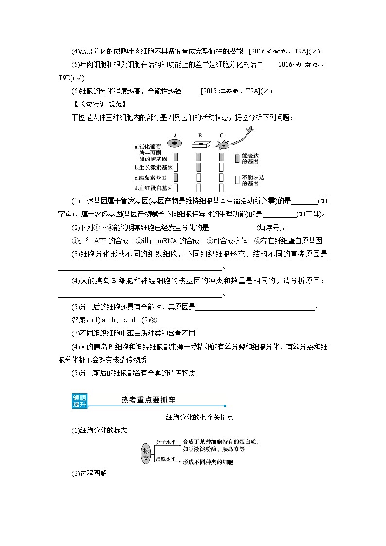 2021版高考生物（人教版）一轮复习学案：第四单元　第13讲　细胞的分化、衰老、凋亡和癌变第3页