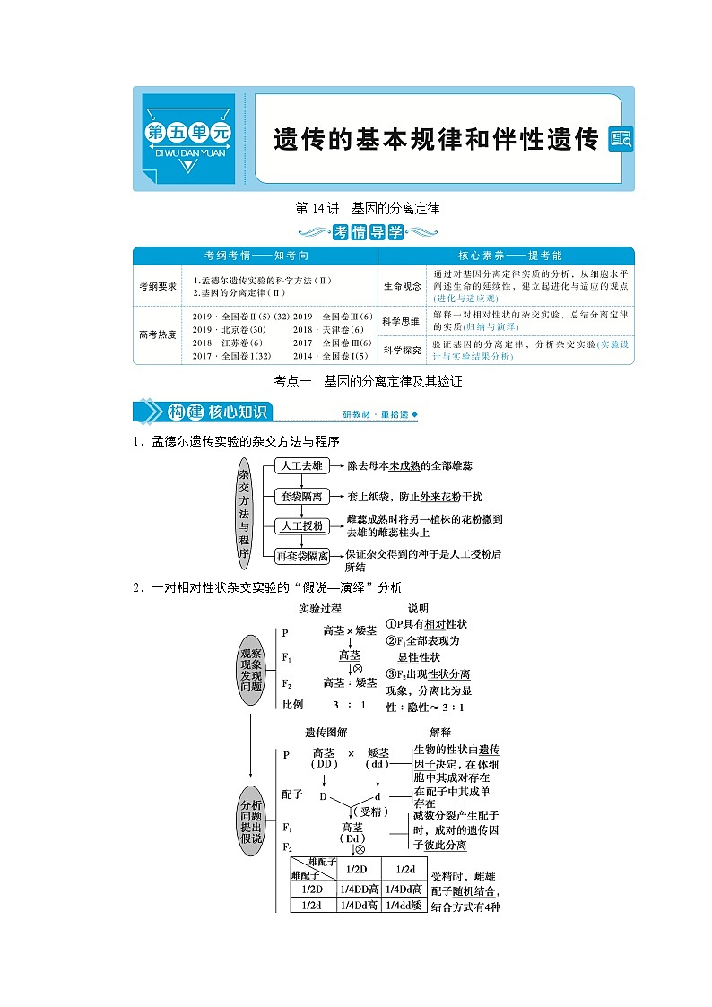 2021版高考生物（人教版）一轮复习学案：第五单元　第14讲　基因的分离定律第1页