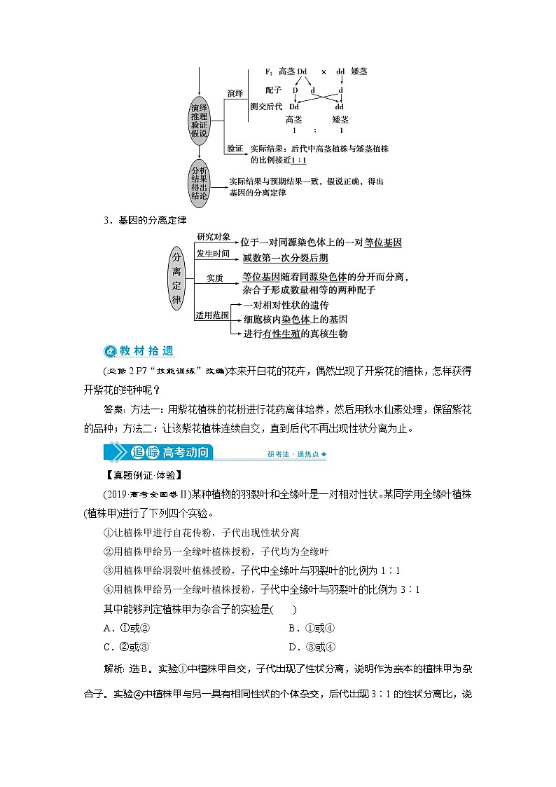 2021版高考生物（人教版）一轮复习学案：第五单元　第14讲　基因的分离定律第2页