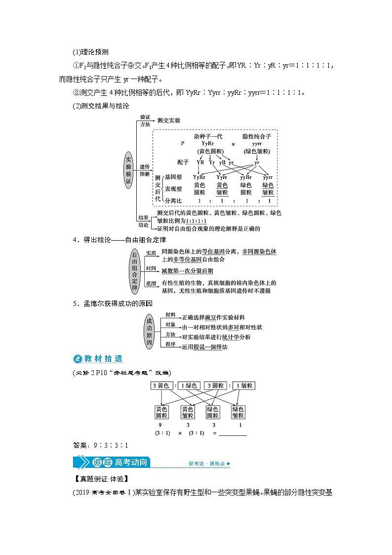 2021版高考生物（人教版）一轮复习学案：第五单元　第15讲　基因的自由组合定律第2页