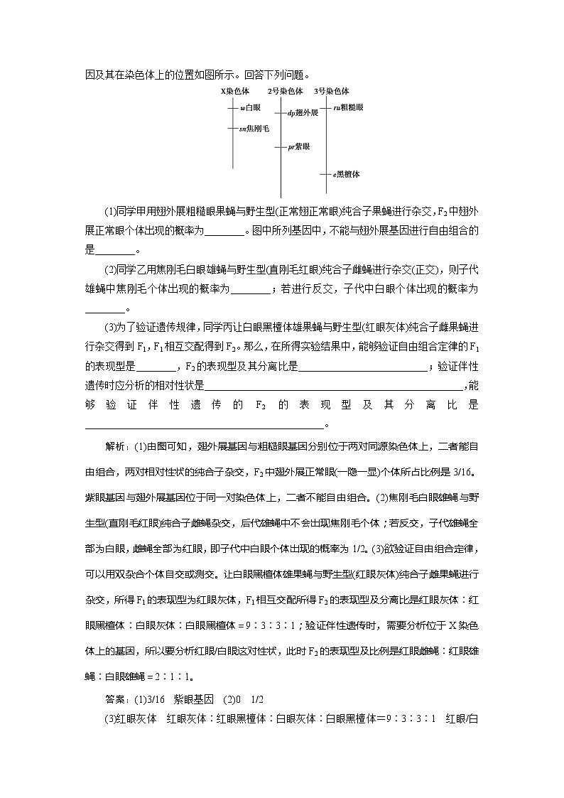 2021版高考生物（人教版）一轮复习学案：第五单元　第15讲　基因的自由组合定律第3页