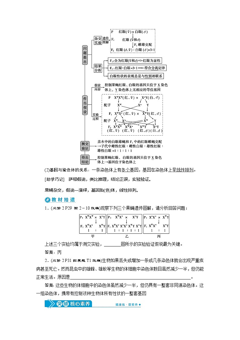 2021版高考生物（人教版）一轮复习学案：第五单元　第16讲　伴性遗传及人类遗传病第2页