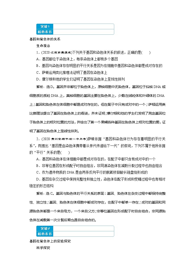 2021版高考生物（人教版）一轮复习学案：第五单元　第16讲　伴性遗传及人类遗传病第3页