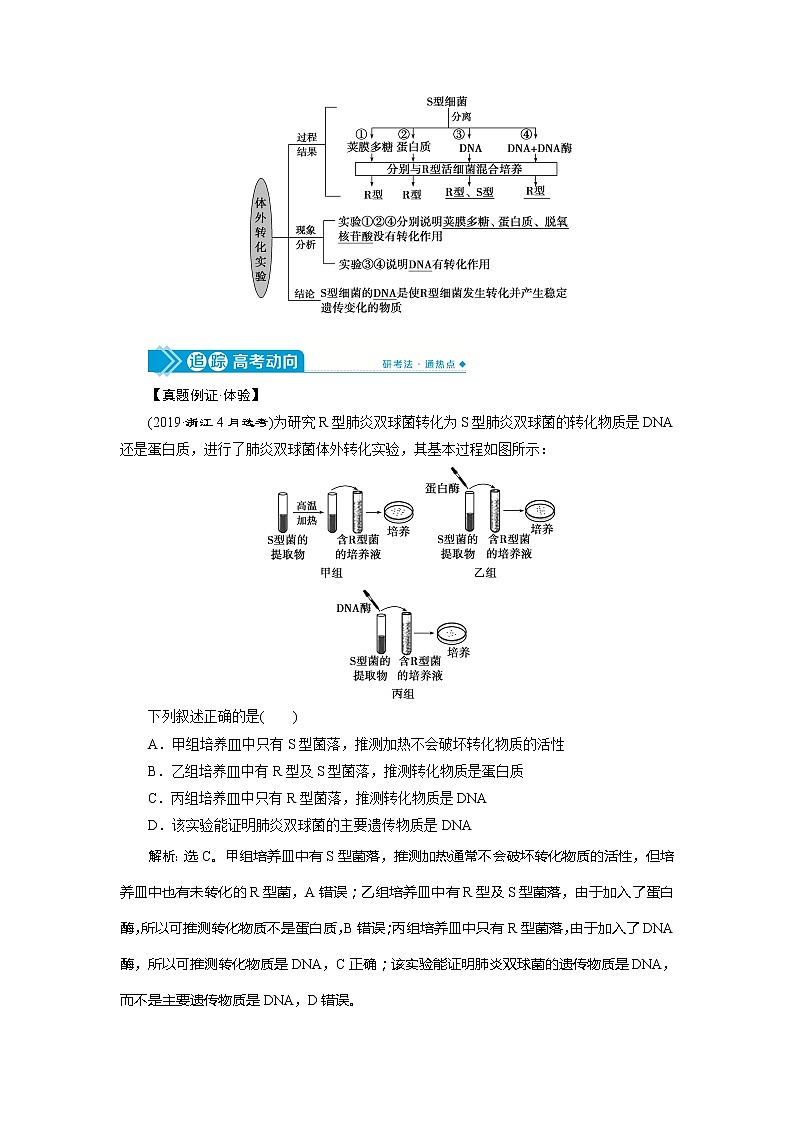 2021版高考生物（人教版）一轮复习学案：第六单元　第17讲　DNA是主要的遗传物质第2页