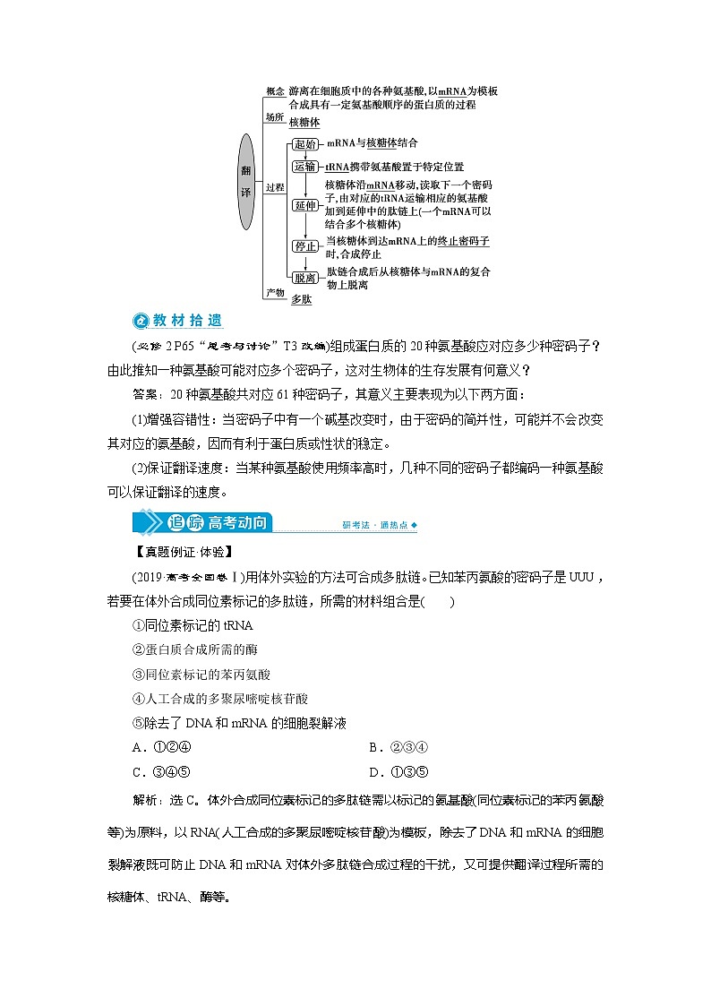 2021版高考生物（人教版）一轮复习学案：第六单元　第19讲　基因的表达第2页