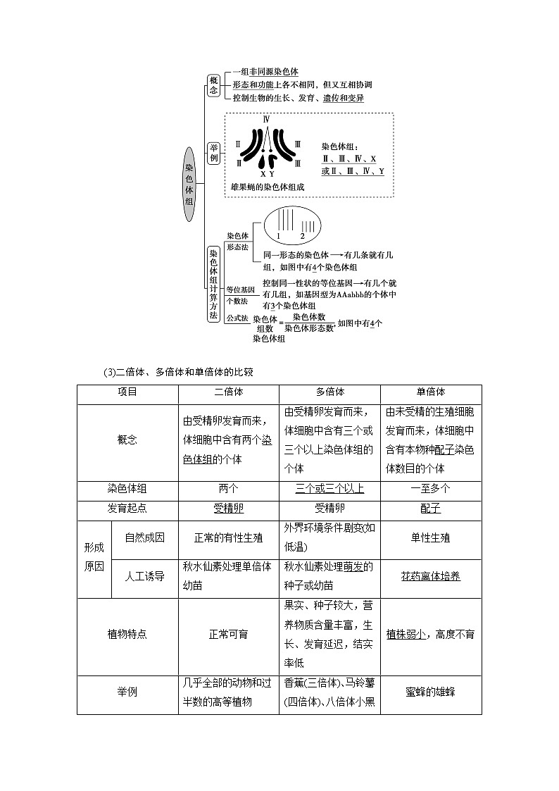 2021版高考生物（人教版）一轮复习学案：第七单元　第21讲　染色体变异与育种第2页