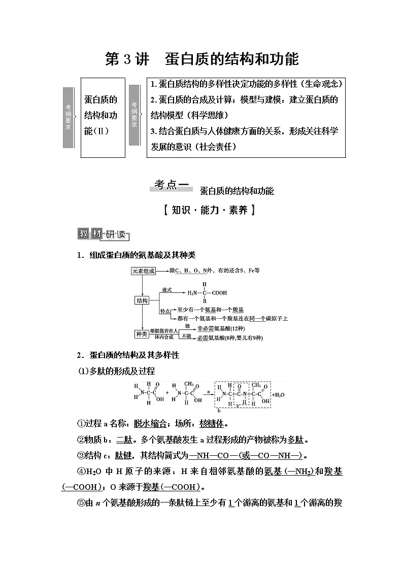2021版高考生物（苏教版）一轮复习学案：必修1第1单元第3讲　蛋白质的结构和功能第1页