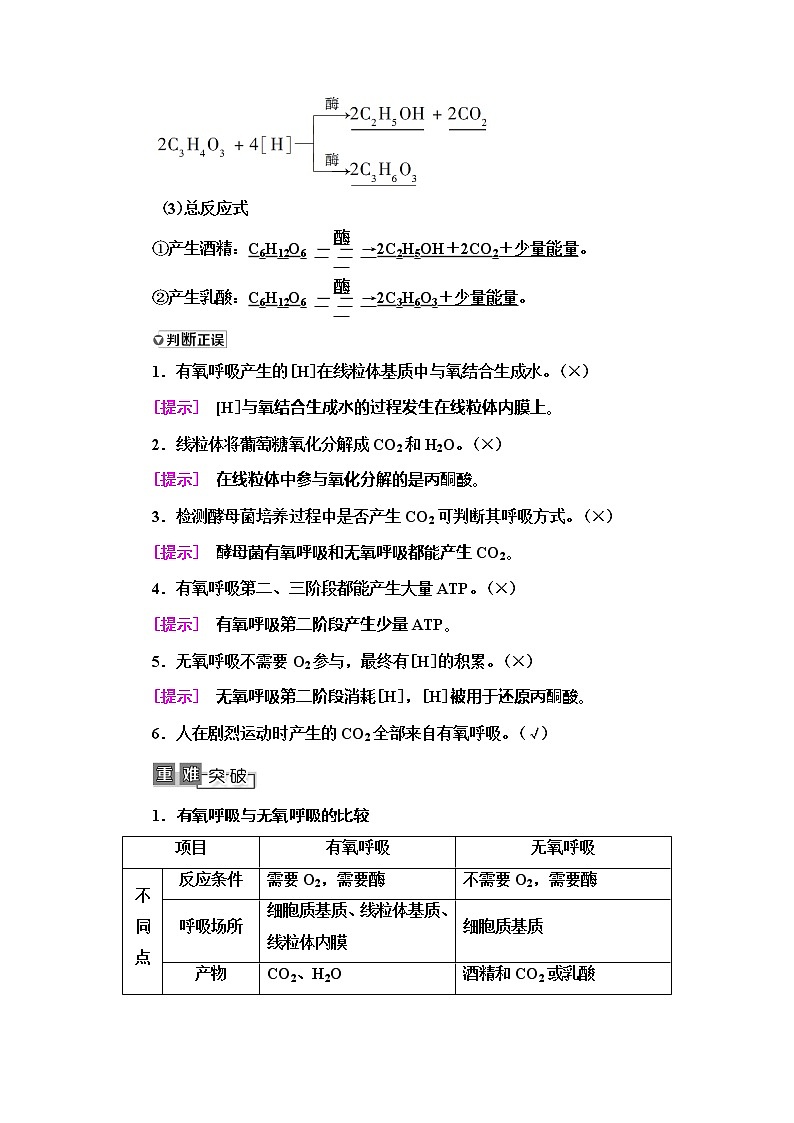 2021版高考生物（苏教版）一轮复习学案：必修1第3单元第4讲　细胞呼吸第3页