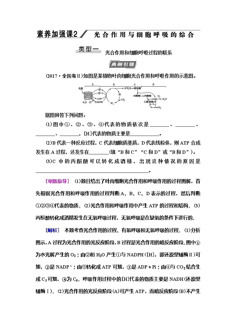 2021版高考生物（苏教版）一轮复习学案：必修1第3单元素养加强课2　光合作用与细胞呼吸的综合第1页