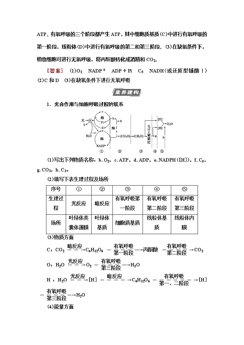 2021版高考生物（苏教版）一轮复习学案：必修1第3单元素养加强课2　光合作用与细胞呼吸的综合第2页
