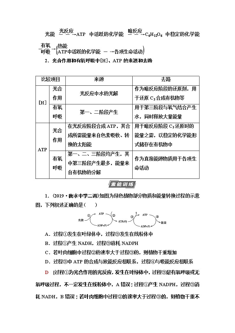 2021版高考生物（苏教版）一轮复习学案：必修1第3单元素养加强课2　光合作用与细胞呼吸的综合第3页