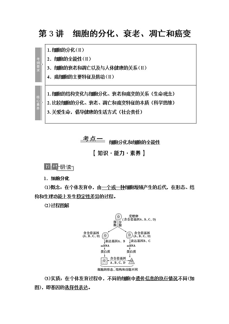 2021版高考生物（苏教版）一轮复习学案：必修1第4单元第3讲　细胞的分化、衰老、凋亡和癌变01