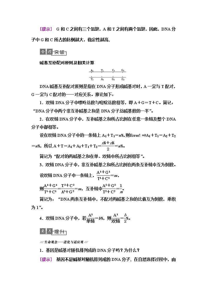 2021版高考生物（苏教版）一轮复习学案：必修2第6单元第2讲　DNA分子的结构、复制与基因的本质第3页