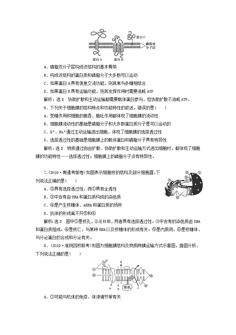 (江苏专版)2020版高考生物一轮复习课时跟踪检测05《细胞膜与细胞核含生物膜的流动镶嵌模型》(含解析)02