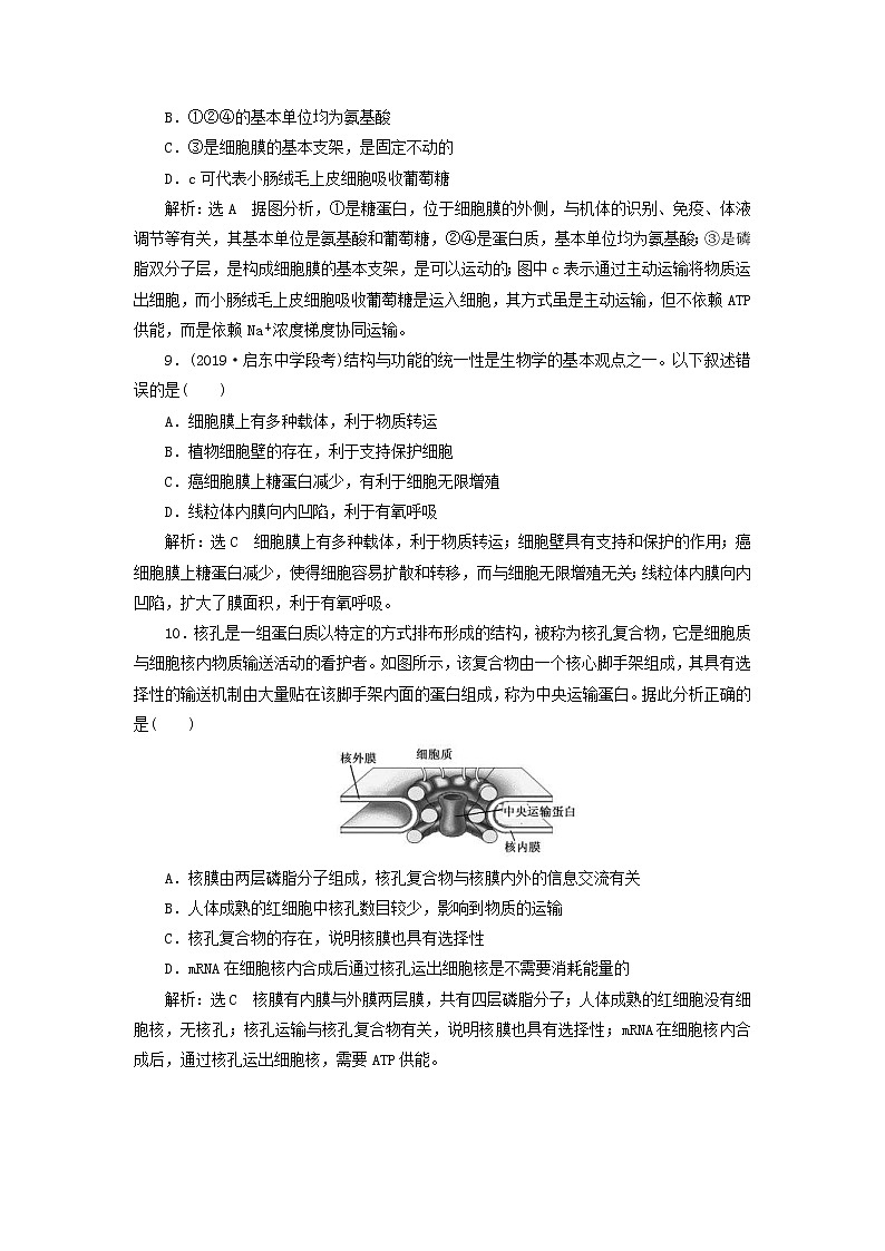 (江苏专版)2020版高考生物一轮复习课时跟踪检测05《细胞膜与细胞核含生物膜的流动镶嵌模型》(含解析)03