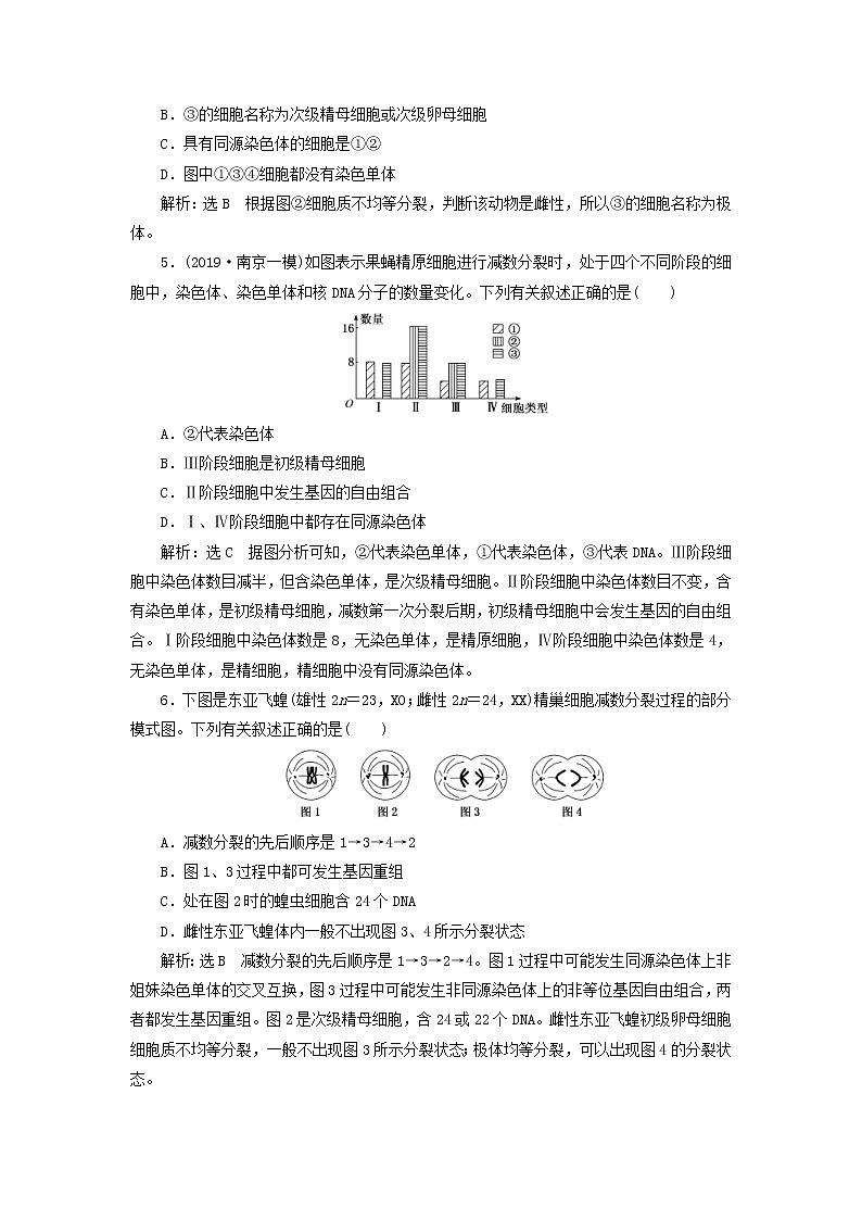 (江苏专版)2020版高考生物一轮复习课时跟踪检测14《减数分裂和受精作用》(含解析)第2页