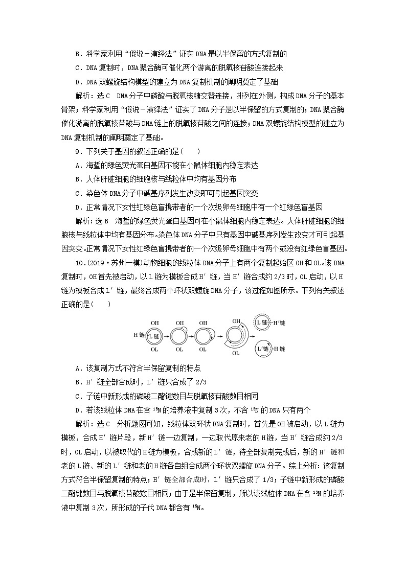 (江苏专版)2020版高考生物一轮复习课时跟踪检测22《DNA分子的结构复制和基因的本质》(含解析)第3页