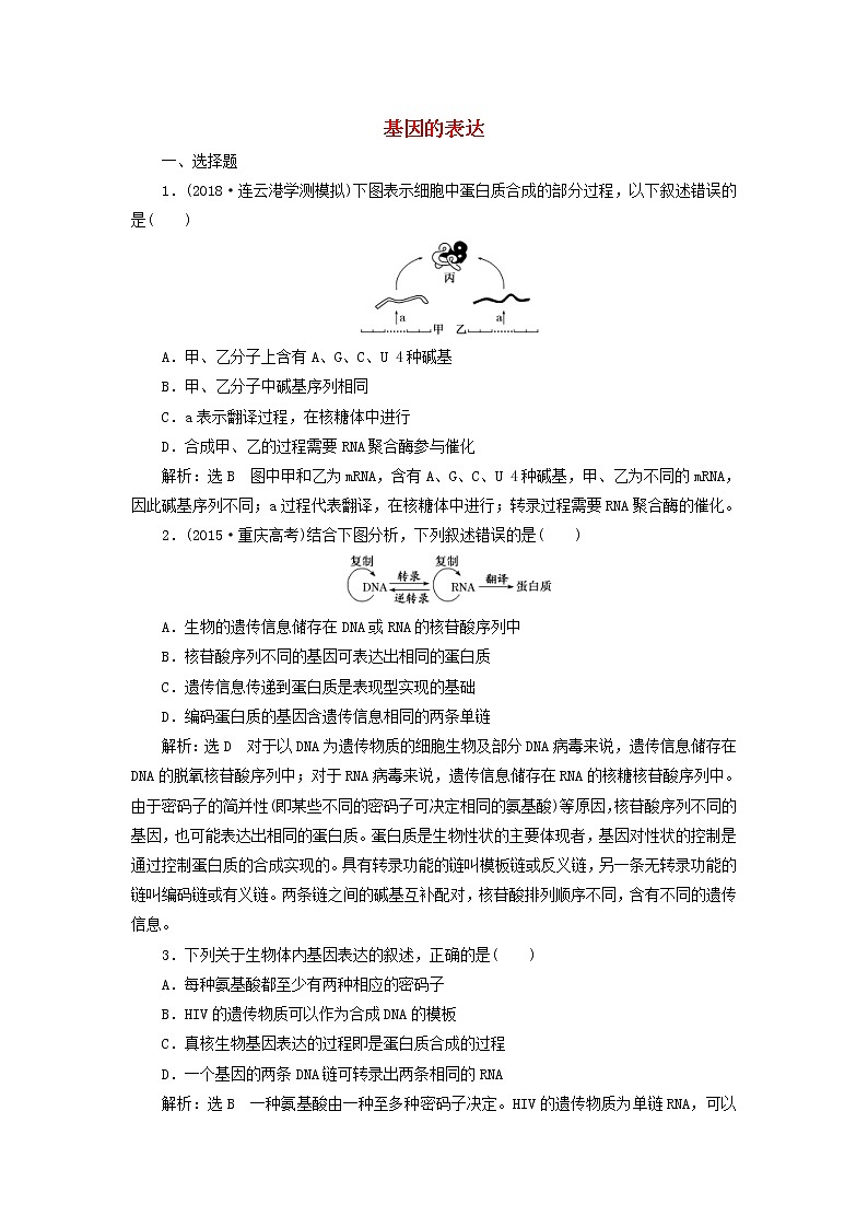 (江苏专版)2020版高考生物一轮复习课时跟踪检测23《基因的表达》(含解析)01