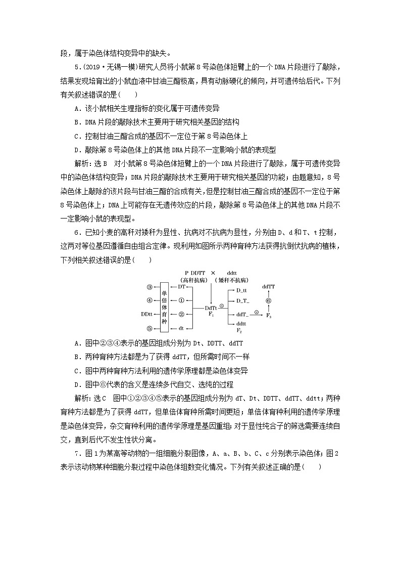 (江苏专版)2020版高考生物一轮复习课时跟踪检测25《染色体变异和生物育种》(含解析)第2页