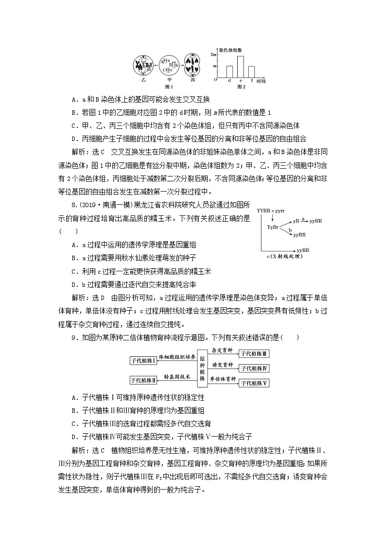 (江苏专版)2020版高考生物一轮复习课时跟踪检测25《染色体变异和生物育种》(含解析)第3页