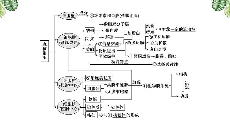 专题02 细胞的结构-2021年高考备考生物一轮复习课件(共69张PPT)03